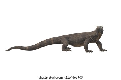 vector 3D gray komodo dragon