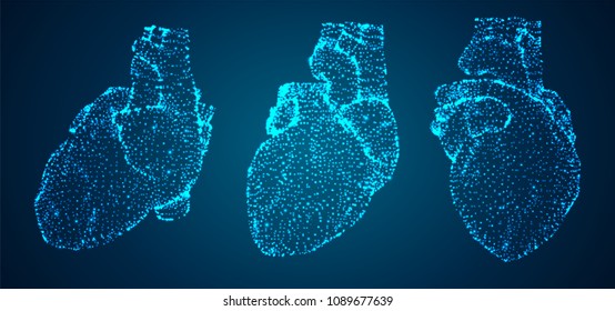 Vector 3d Human Heart From Lines And Dots