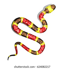 Vector 3d Illustration of Coral Snake or Micrurus Isolated on White Background. Serpent with Red, Brown and Yellow Stripes
