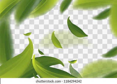 Vector 3d illustration with green tea leaves in motion on a transparent background. Element for design, advertising, packaging of tea products, Vector illustration