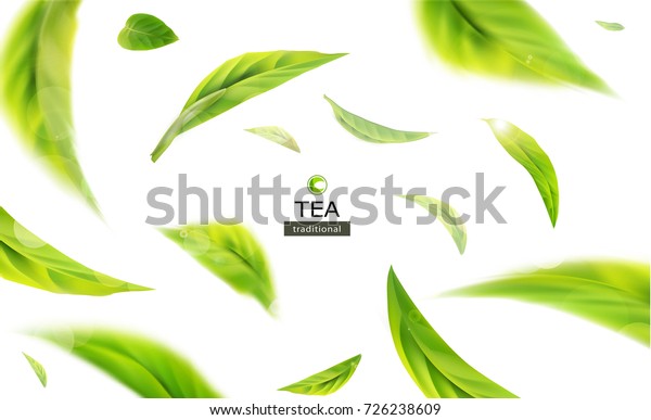 白い背景に緑の茶の葉を動かしたベクター画像3dイラスト 茶製品のデザイン 広告 包装のエレメント のベクター画像素材 ロイヤリティフリー
