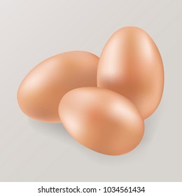 Vector 3d illustration of a realistic chicken eggs.