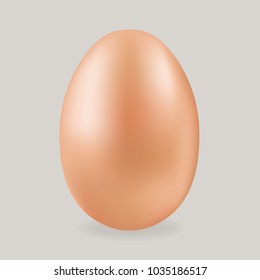 Vector 3d illustration of a realistic chicken egg.