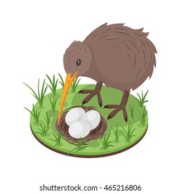 Vector 3d isometric illustration of kiwi bird near the nest with three eggs.