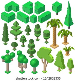 Vector 3d isometric plants, trees, green bushes, firs, palms and pines. Nature objects, environment. Ecology, natural park, forest elements, botanical decoration Template for game design