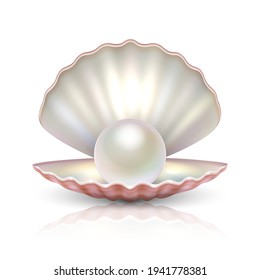 Vector 3d Realista Hermosa Shell Natural de Perla Abierta con Icono Pearl Cerrado Aislado en Fondo Blanco con Reflexión. Plantilla de diseño de conchas para gráficos. Vista frontal