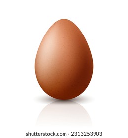 Vector 3d Realistic Brown Chicken Egg Closeup. Textured Chicken Egg Icon, Isolated. Vector Bird Whole Egg in Front View