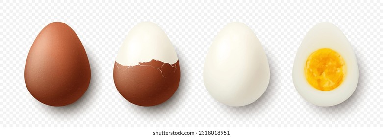 Vector 3d Realistic Brown Chicken Eggs. Textured Whole, Cracked Broken, Peeled Boiled Chicken Egg, Hard-Boiled Chicken Egg With Yolk Closeup Isolated. Eggs Isolated. Whole, Cut in Half Egg, Front View