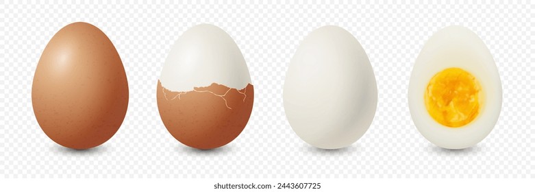 Huevos de pollo marrones realistas del vector 3d. Huevo De Pollo Cocido, Crujiente, Entero Con Textura, Huevo De Pollo Cocido, Huevo De Pollo Duro Con Yema En Primer Plano Aislado. Huevos Aislados. Entero, cortado en medio huevo, vista frontal