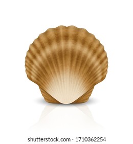 Vector 3d Realistic Brown Closed Scallop Pearl Seashell Icon Closeup Isolated on White Background. Design Template. Front or Top View