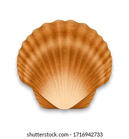 Vector 3d Realistic Brown Closed Scallop Pearl Seashell Icon Closeup Isolated on White Background. Design Template. Top View