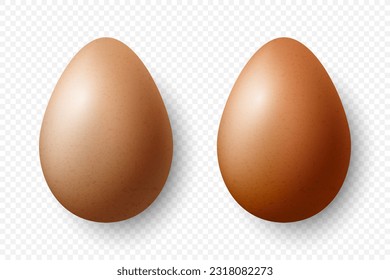 Vector 3d Realistic Brown Textured Chicken Eggs Closeup Isolated. Chicken Egg Set. Vector Different Color Whole Eggs. Egg in Front, Top View