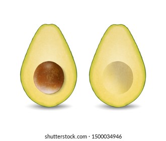 Vector 3d Realistic Cut Half Avocado with Seed Icon Set Closeup Isolated on White Background. Design Template, Food, Health, Diet Concept. Front View
