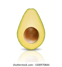 Vector 3d Realistic Cut Half Avocado Closeup Isolated on White Background with Reflection. Design Template, Food, Health, Diet Concept. Front View