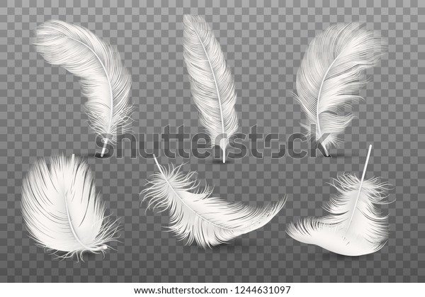 透明グリッド の背景にベクター画像3dのリアルな異なる落ちる白いフワフワした巻きと羽の接写 さまざまな形の細かい羽をデザインテンプレート エンジェルまたは鳥のクリップアート のベクター画像 素材 ロイヤリティフリー