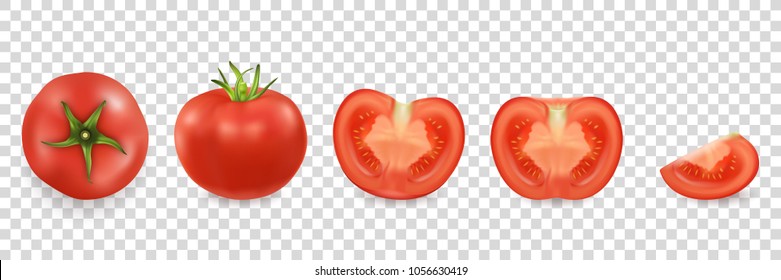 Vector 3d realistic different tomato icon set closeup isolated on transparency grid background. Whole, quarter, half of a tomato and top view. Design template, clipart for graphics