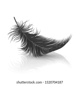 Vector 3d Realistic Falling Black Fluffy Twirled Feather with Reflection Closeup Isolated on White Background. Design Template, Clipart of Angel or Detailed Bird Quill, Nib