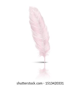 Vector 3d Realistic Falling Pink Flamingo Fluffy Twirled Feather with Reflection Closeup Isolated on White Background. Design Template, Clipart of Angel or Detailed Bird Quill