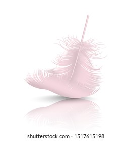 Vector 3d Realistic Falling Pink Flamingo Fluffy Twirled Feather with Reflection Closeup Isolated on White Background. Design Template, Clipart of Angel or Detailed Bird Quill