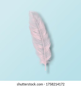 Vector 3d Realista Caída Rosa Fluffy Twirled Flamingo Icono De Pluma Closeup Aislado En Fondo Azul. Plantilla de diseño, cliente de ángel o pluma detallada de pájaro