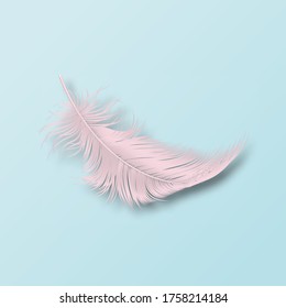 Vector 3d Realistic Falling Pink Fluffy Twirled Flamingo Feather Icon Closeup Isolated on Blue Background. Design Template, Clipart of Angel or Bird Detailed Feather