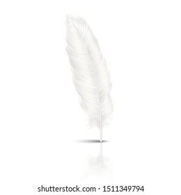 Vector 3d Realistic Falling White Fluffy Twirled Feather with Reflection Closeup Isolated on White Background. Design Template, Clipart of Angel or Detailed Bird Quill
