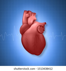 Vector 3d Realistic Glowing Health Heart Model with a Pulse Line Closeup on Blue Science Lined Checkered Medical Background . Design Template of Human Organ Anatomy, Medical Concept. Front View