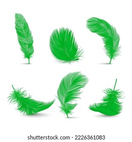 Vector 3d Realistic Green Fluffy Feather Set Isolated on White Background. Design Template of Flamingo, Angel, Bird Detailed Feathers. Lightness,Freedom Concept