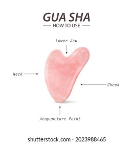 Vector 3d Realistic Gua Sha Jade Scraping Massage Tool. Benefits, Parts, Instruction, Infographics. Natural Pink Rose Quartz Stone Scraper. Chinese Traditional Facial Lifting for Woman. Top View
