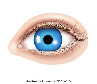 Vector 3d realistic human eye without makeup. Glossy blue iris with a macro details. Facial element on a skin background. Useful for design of laser vision correction and also make up, cosmetics.