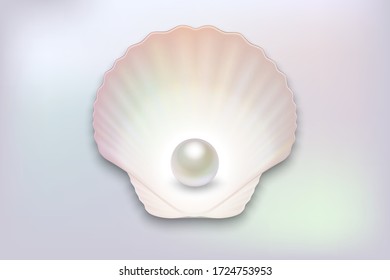 Vector 3d Realistic Natural Open Half Shell with Pearl Close up on Pearl Color Background. Top View