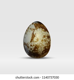 Vector 3d realistic one quail egg. Isolated easter symbol template with shadow. Standing mock up objects 
