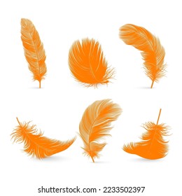 Vector 3d Realistic Orange Fluffy Feather Set Isolated on White Background. Design Template of Flamingo, Angel, Bird Detailed Feathers. Lightness,Freedom Concept