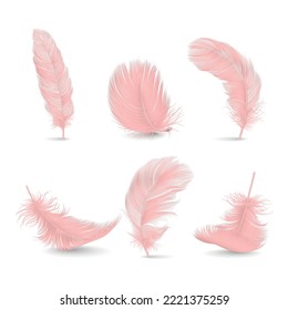 Vector 3d Realistic Pink Fluffy Feather Set Isolated on White Background. Design Template of Flamingo, Angel, Bird Detailed Feathers. Lightness,Freedom Concept