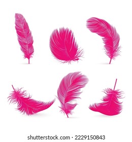 Vector 3d Realistic Pink Fluffy Feather Set Isolated on White Background. Design Template of Flamingo, Angel, Bird Detailed Feathers. Lightness,Freedom Concept