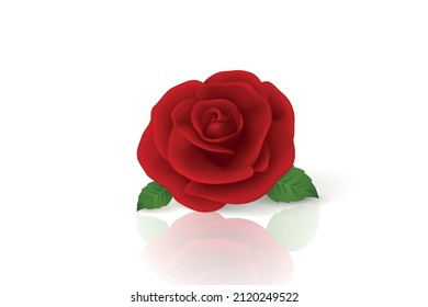 Vector 3d Realistic Red Flower Rose Closeup Isolated On White. Rose Bud Design Template. Background With Decorative Rose. Design Template Of Rose Flower, Clipart