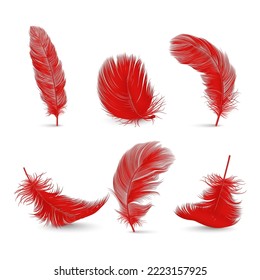 Vector 3d Realistic Red Fluffy Feather Set Isolated on White Background. Design Template of Flamingo, Angel, Bird Detailed Feathers. Lightness,Freedom Concept