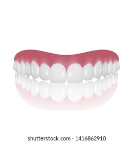 Vector 3d Realistic Render Denture Closeup Isolated on White Background. Dentistry and Orthodontics Design. Human Teeth for Medical and Toothpaste Concept. Healthy Oral Hygiene, Jaw Prosthesis