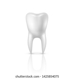 Vector 3d Realistic Render Human Tooth Closeup Isolated on White Background. Dental, Medicine and Health Concept, Design Template. Medical Element, Toothpaste, Healthy Oral Hygiene, Jaw Prosthesis