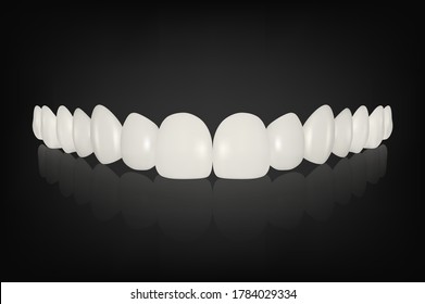 Vector 3d Realistic Render White Denture Set Closeup Isolated. Dentistry and Orthodontics Design. Human Teeth for Medical and Toothpaste Concept. Healthy Oral Hygiene, Jaw Prosthesis, Veneers