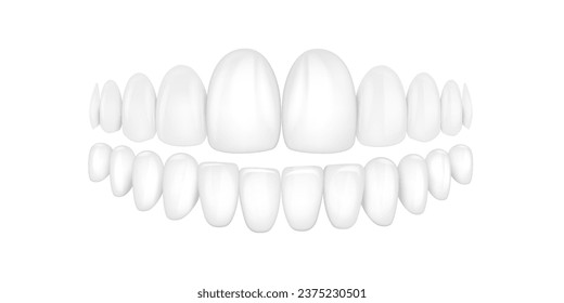 Vector 3d Realistic Render White Denture Set Closeup Isolated. Dentistry and Orthodontics Design. Human Teeth for Medical and Toothpaste Concept.