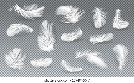 Vector 3d realistic set of white bird or angel feathers in various shapes, isolated on transparent background. Symbol of lightness, literature and poetry. Decoration element, design object