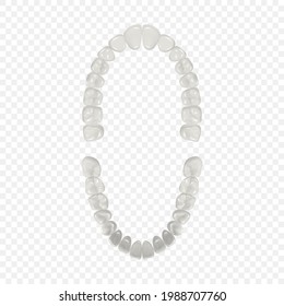 Vector 3d Realistic Teeth, Upper, Lower Adult Jaw, Top View. Anatomy Concept. Orthodontist Human Teeth Scheme Isolated. Medical Oral Health. Design Template of Prosthetics, Periodontal Disease Gums