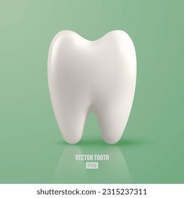 Vector 3d Realistic Tooth. Dental Inspection Banner, Plackard. Tooth Icon Closeup on Green Background. Medical, Dentist Design Template. Dental Health Concept