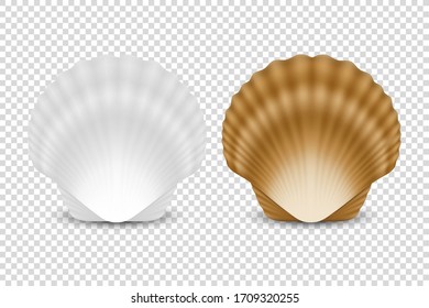 Vector 3d Realistic White and Brown Closed Scallop Pearl Seashell Icon Set Closeup Isolated on Transparent Background. Design Template. Front or Top View