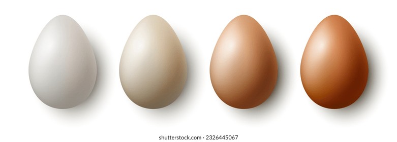 Vector 3d Realistic White and Brown Chicken Eggs Closeup Isolated. Chicken Egg Set. Vector Different Color Whole Eggs. Egg in Front, Top View