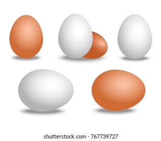 Vector 3d realistic white and brown eggs. Isolated eggs with shadow on white background. Eggs mockup for your Easter poster design 
