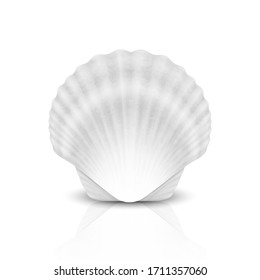 Vector 3d Realistic White Closed Scallop Pearl Seashell Icon Closeup Isolated on White Background. Design Template. Front View