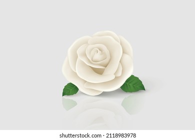 Vector 3d Realistic White Flower Rose Closeup Isolated on White. Rose Bud Design Template. Background with Decorative Rose. Design Template of Rose Flower, Clipart