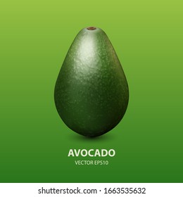 Vector 3d Cierre Realista de Aguacate Aislado en Fondo Verde. Plantilla de diseño, Comida, Salud, Concepto Dietético. Vista frontal